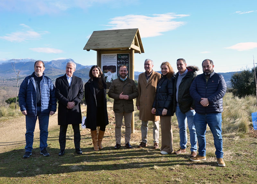 Guadarrama | El Ayuntamiento y SIGAUS firman una colaboración que ha permitido la plantación de un nuevo bosque de 1.000 arboles