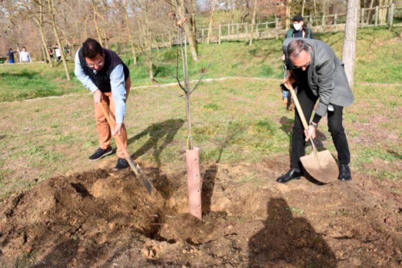 Villaviciosa de Odón | Atrás Plantación de árboles en El Forestal por parte del IES Centro de Capacitación Agraria