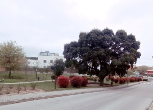 Torrelodones | Inauguración Parque de la Encina Enrique Muñoz López