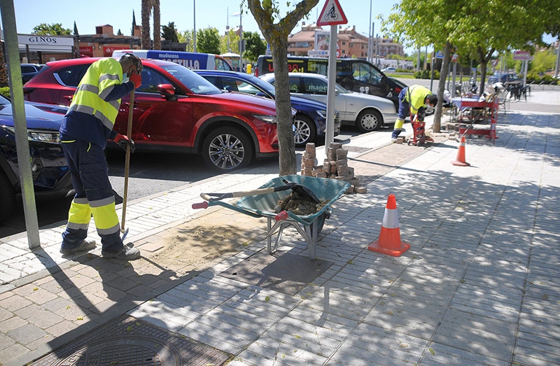 Boadilla del Monte | Los alcorques de los ejes comerciales están siendo adoquinados para evitar la suciedad acumulada