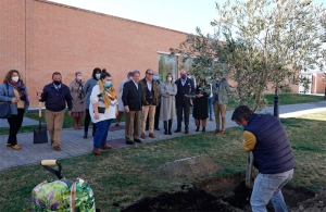 Villanueva de la Cañada | Villanueva de la Cañada se suma a la Campaña “Un árbol por Europa”