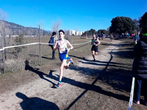 Collado Villalba | Más de 1.200 atletas se darán cita este domingo en Collado Villalba