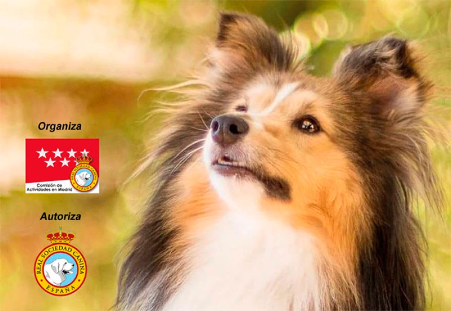 Torrelodones | III Feria Canina
