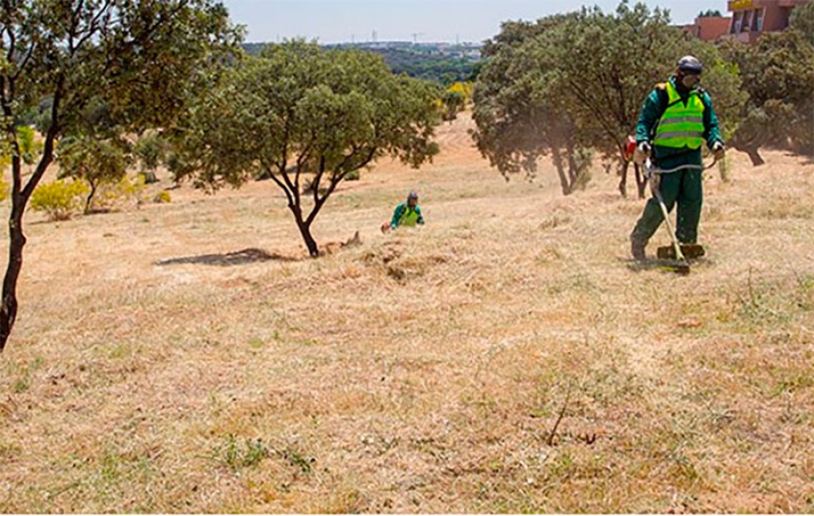 Boadilla del Monte | El Ayuntamiento recuerda la obligatoriedad de limpiar y desbrozar los solares y terrenos privados