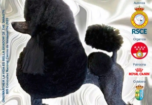 Valdemorillo | XXIII Concurso Nacional Canino de Valdemorillo