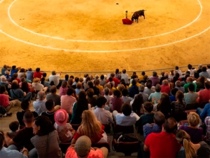 Las Rozas | Cartel de lujo para este sábado en el II Festival de Primavera