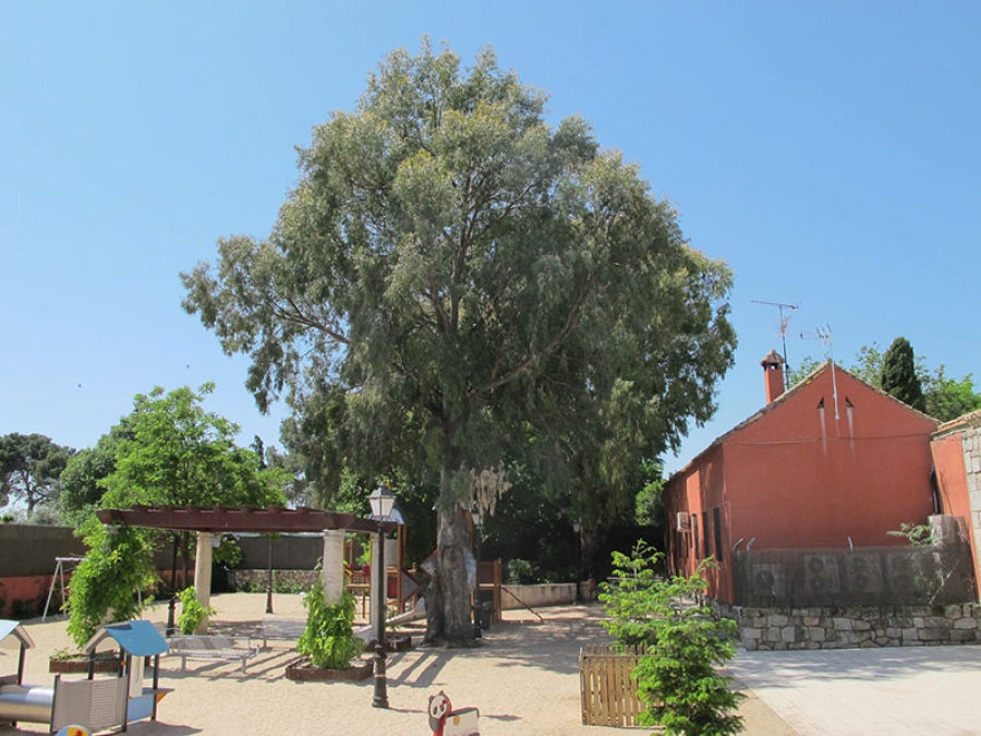 Chapinería | El parque infantil del Jardín del Palacio volverá a abrir sus puertas de manera temporal