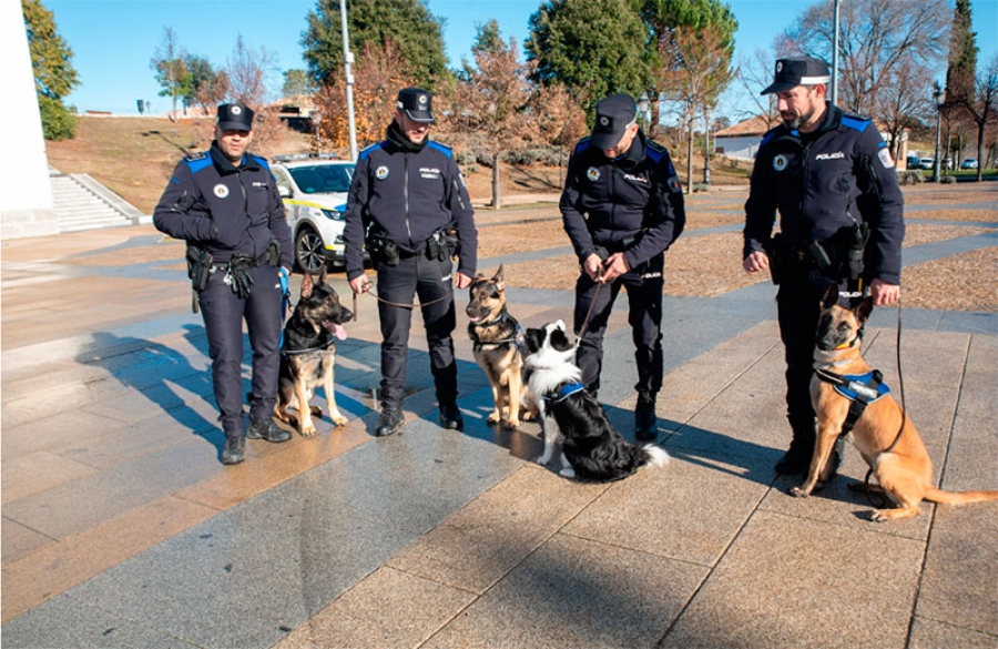 Boadilla del Monte | La Policía Local incorpora una unidad canina con cuatro nuevos “agentes”