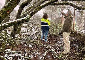 Collado Mediano | Desbroce y poda en el SAU 11 para prevenir incendios
