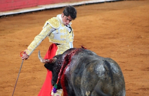 San Martín de Valdeiglesias | San Martín de Valdeiglesias acoge dos festejos taurinos