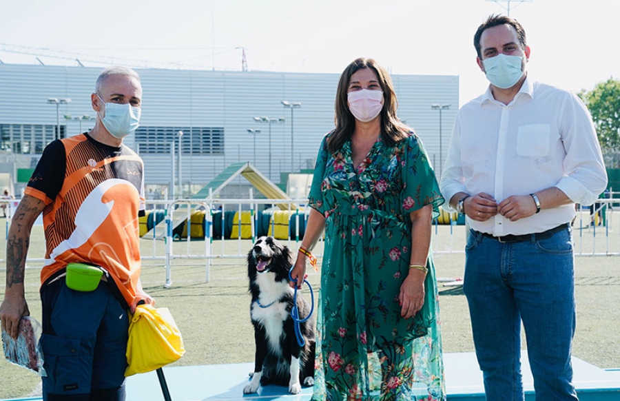 Pozuelo de Alarcón | La alcaldesa entrega los trofeos a los ganadores de las pruebas Agility