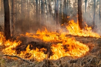 Collado Mediano | Medidas Preventivas de Incendios Forestales