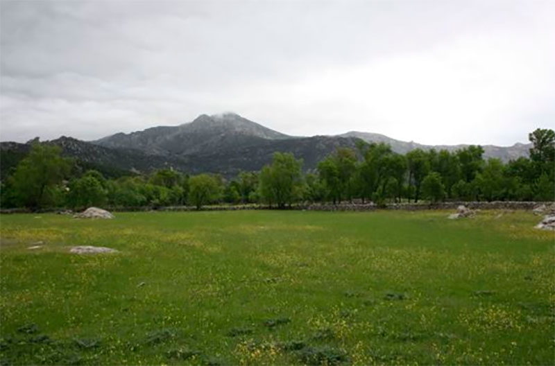 Becerril de la Sierra | Información sobre el período de caza 2025/2026 en Becerril de la Sierra