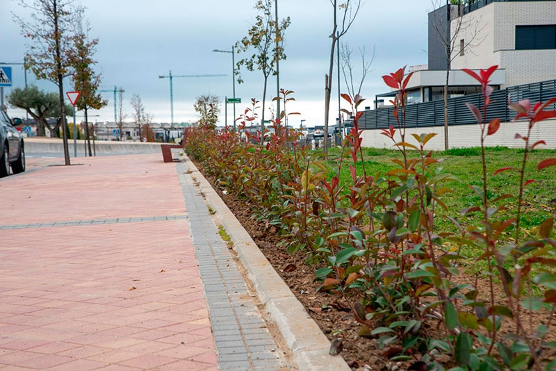 Boadilla del Monte |   Finaliza la plantación de 5000 arbustos en las avenidas de la Armada Española y El Pastel