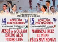 El Álamo | El Álamo celebra sus Fiestas en honor al Santísimo Cristo de la Salud del 18 de agosto al 5 de septiembre