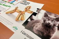 Collado Villalba | ‘Villalba Adopta’ una iniciativa para promover el buen trato y la adopción de animales