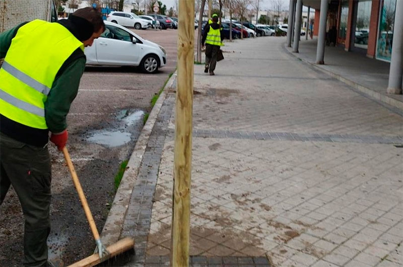 Arroyomolinos | Arroyomolinos amplía su plan del arbolado con la plantación de otros 733 ejemplares