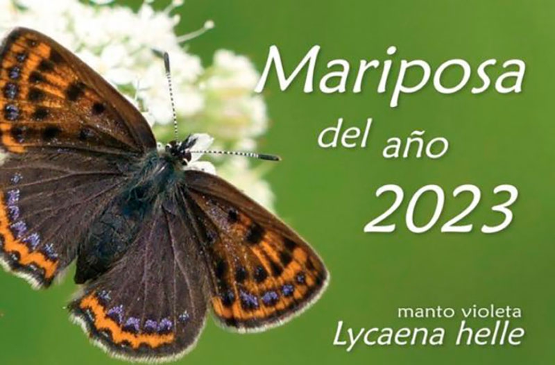 El Boalo, Cerceda, Mataelpino | Proyecto Oasis De Mariposas en el Colegio Público Josefina Carabias en Mataelpino