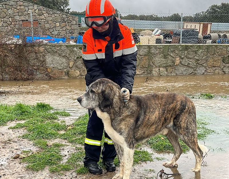 Collado Mediano | Encomiable labor de Protección Civil de Collado Mediano ante las fuertes lluvias
