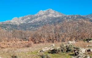Becerril de la Sierra | Apertura sobre adjudicación de pastos