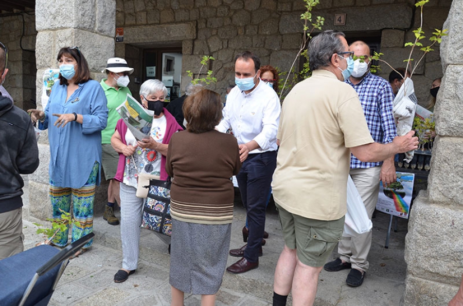 Guadarrama | Árboles, arbustos y plantas aromáticas para el Día Mundial del Medio Ambiente