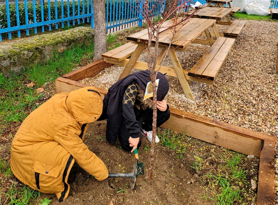 Galapagar | Galapagar se une a la campaña “Un Árbol por Europa” de la asociación Equipo Europa