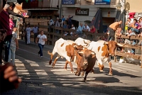 Moralzarzal | Los encierros en Moralzarzal, una tradición centenaria y una marca distintiva