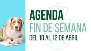 Galapagar | La representación de “Gool”, Campeonato de Hockey en Silla de Ruedas o Bebecuentos este fin de semana