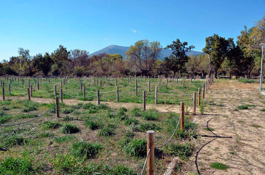 Guadarrama | Encuesta para conocer la demanda real de los huertos de La Mata