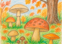 El Boalo, Cerceda, Mataelpino | ¡Manos a la Obra! Bases VIII Concurso Infantil de Dibujo Micológico 2025