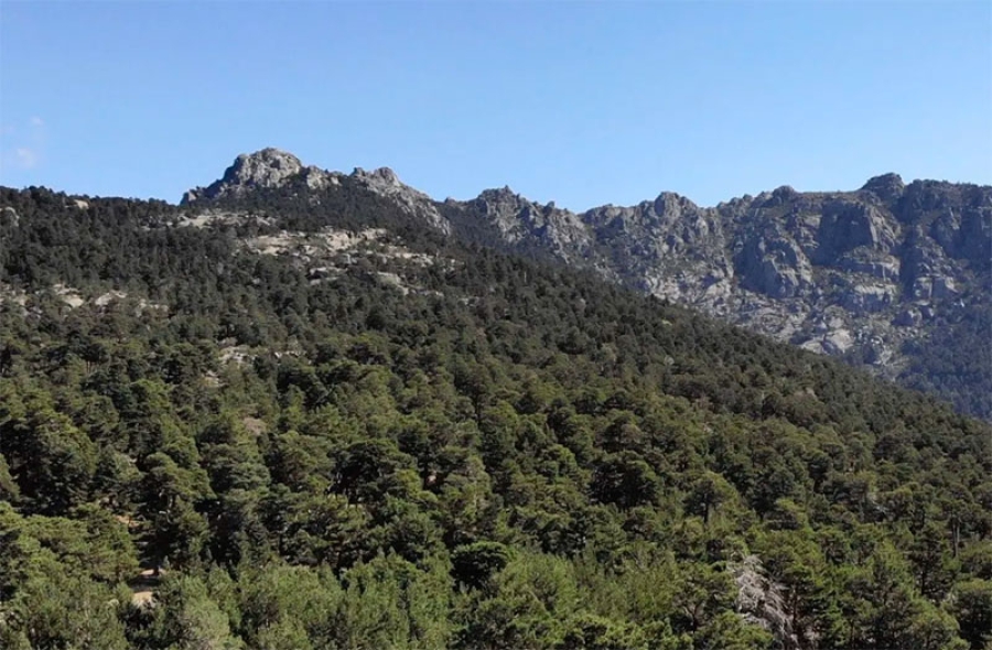 Navacerrada | Concurso Nacional de Fotografía «Parques Nacionales Españoñes 2023»
