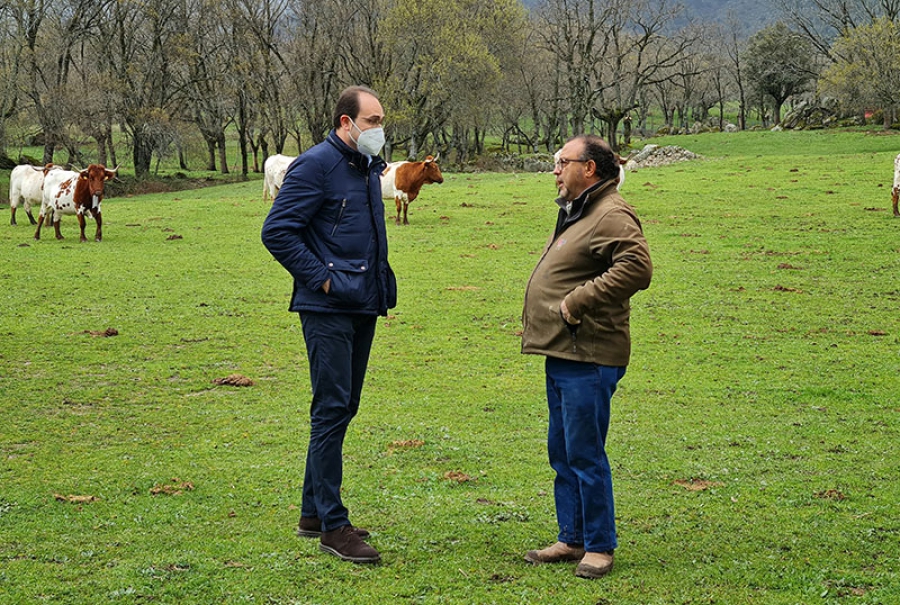 Los Molinos | Entrevista a Antonio Coello, alcalde de Los Molinos