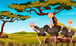 Moralzarzal | Espacio para Familias: Cuentos de animales fabulosos