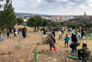 Torrelodones | Bellotada infantil en Torrelodones
