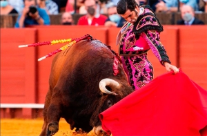 Moralzarzal | Morante sustituye a Manzanares en la corrida de Toros del 5 de abril en Moralzarzal