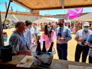 I Feria del Vino de San Martín de Valdeiglesias