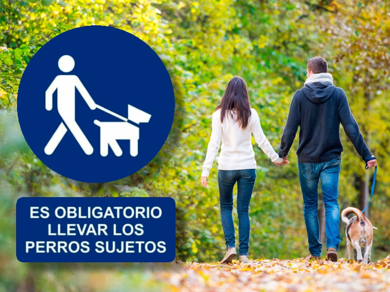 Collado Mediano | Normativa sobre tenencia de animales de compañía en espacios públicos y naturales