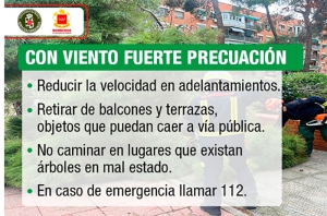 Villaviciosa de Odón | El Ayuntamiento cierra cuatro parques como medida de precaución ante las fuertes rachas de viento