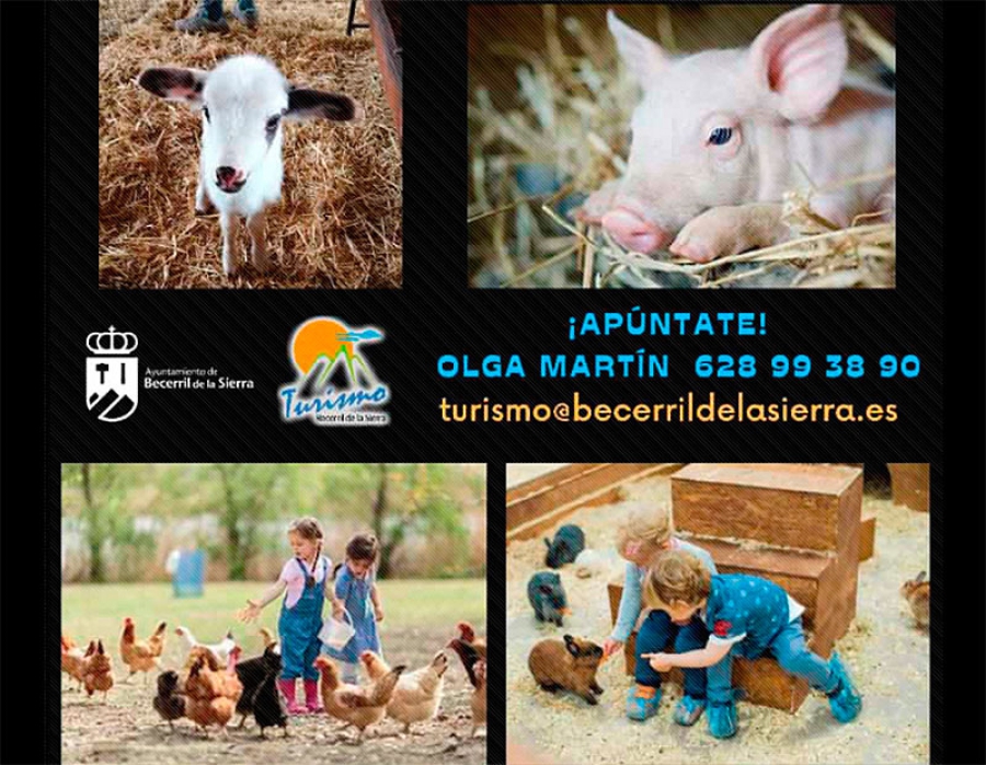 Becerril de la Sierra | Visita infantil a una granja
