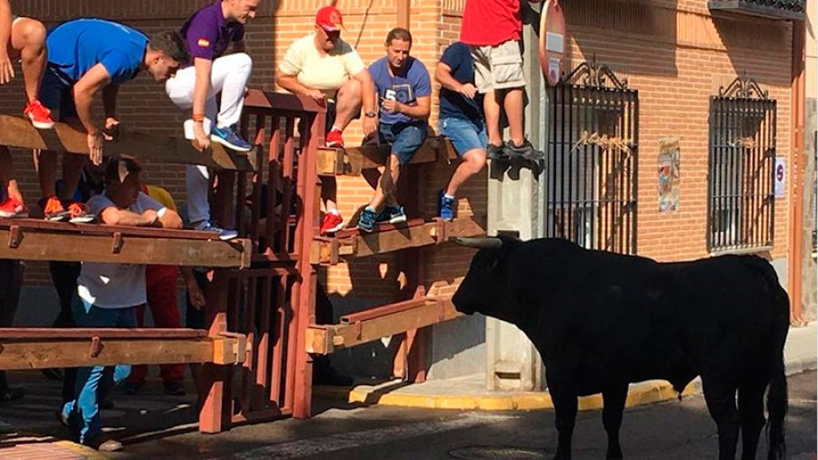 Humanes de Madrid  | Del 2 al 20 de septiembre Humanes de Madrid celebra sus Fiestas en honor al Santísimo Cristo de la Agonía