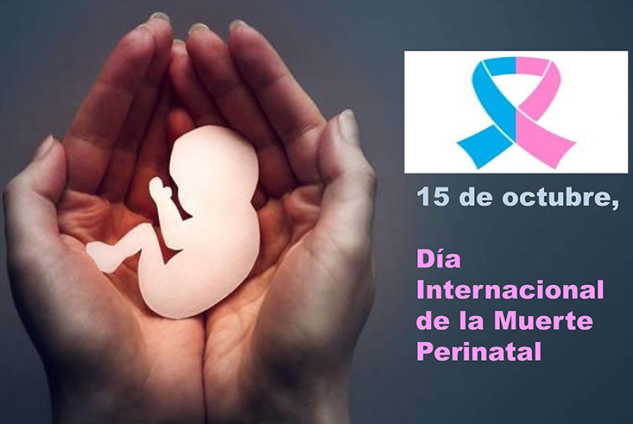 Valdemorillo | El Ayuntamiento se iluminará en rosa y azul este domingo, Día Internacional de la Muerte Perinatal