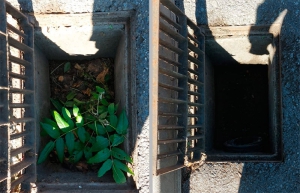 Galapagar | Campaña de limpieza de arquetas en Galapagar para preparar la época de lluvias